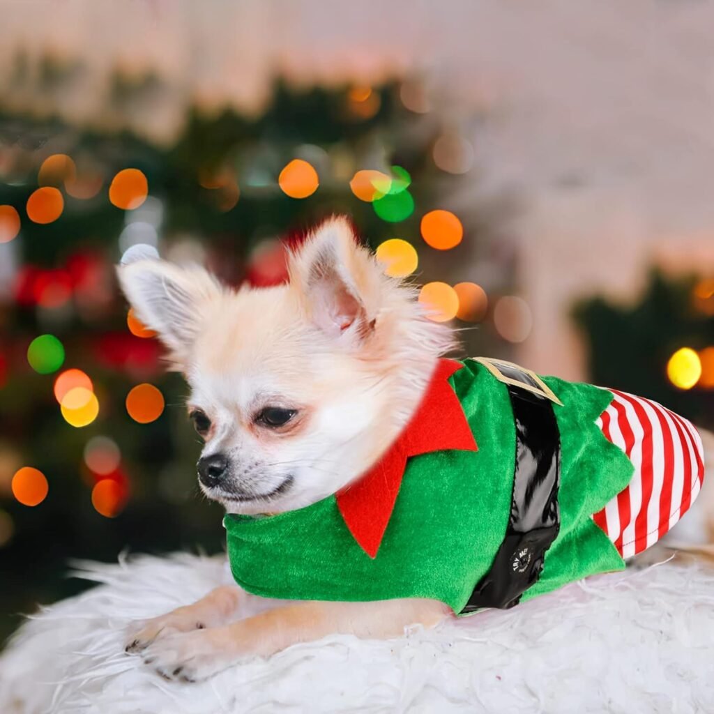 Dog Dress for Small Dogs Dog Christmas Outfits, Dog Christmas Dress, Xmas Winter Dog Clothes Sweater for Small Dogs Girl, Dog Christmas Costumes,Puppy Santa Pet Cat Apparel (Medium)