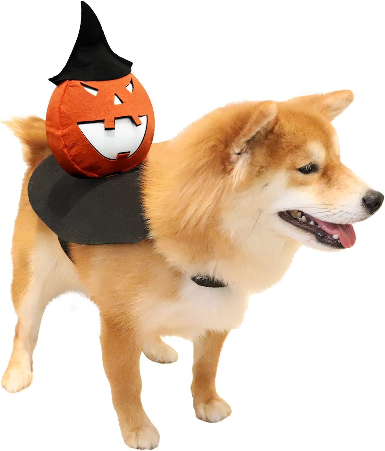 HOTMAI Dog Costumes Review