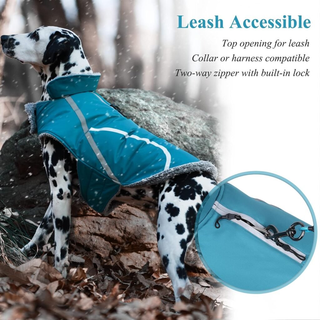 VIVAGLORY Cold Weather Dog Coat, Reflective Snow Proof Windproof Thick Warm Winter Dog Jacket Clothes with Furry Collar, Water Resistant Cozy Adjustable Pets Apparel for Medium Dogs, Turquoise, M