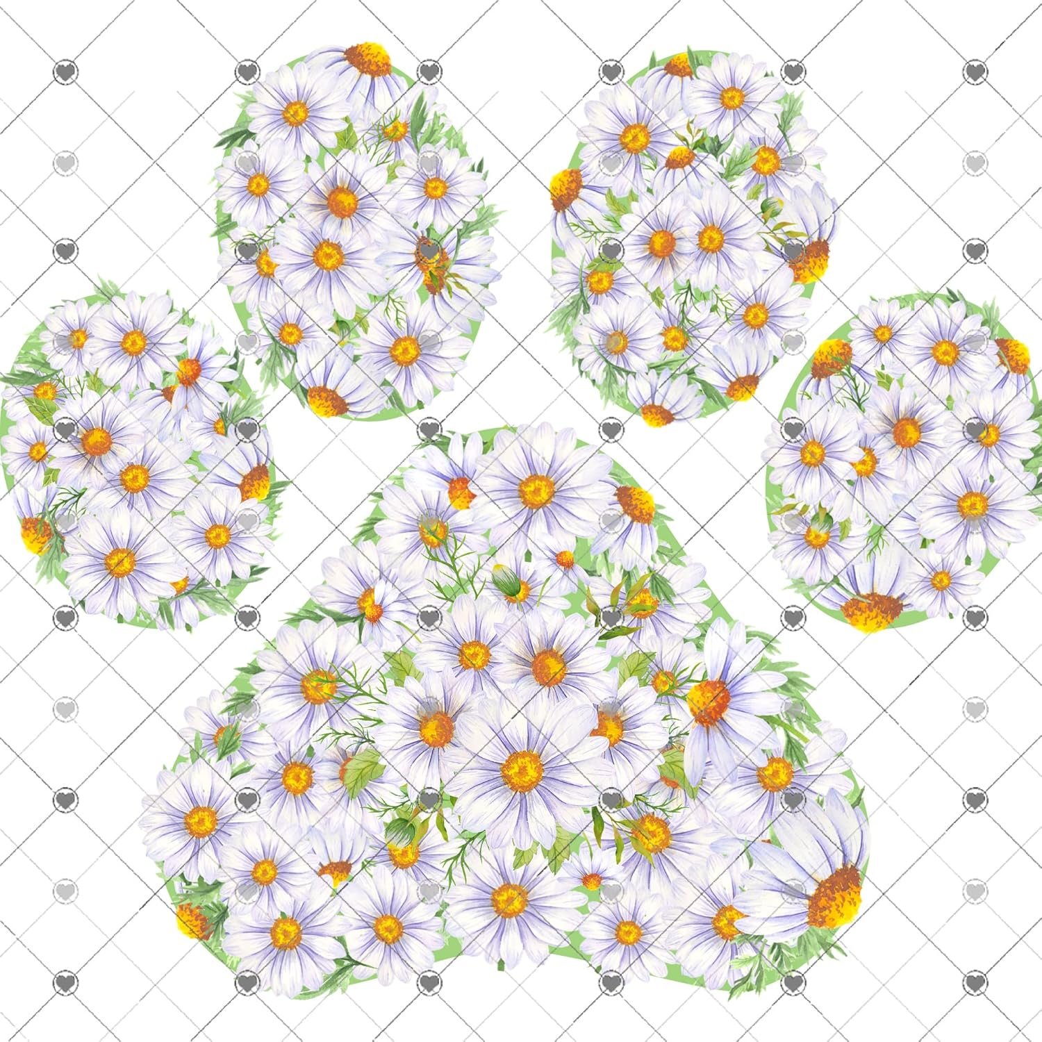 Paw Print Daisies Sublimation Transfer Review